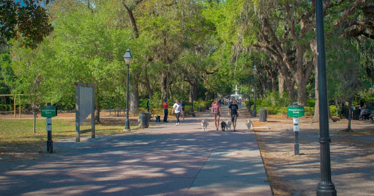 How Much Does It Cost to Start a Dog-Walking Business (2026): About $169, or $149 Outdoors