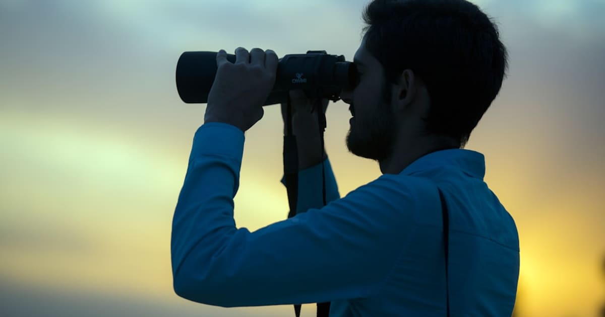 Is Birdwatching an Expensive Hobby (2026): Honest Answer, $60 to $316